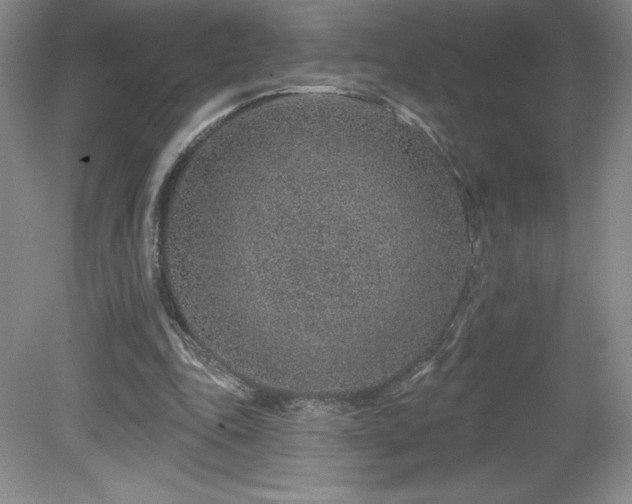 X0000081560343200701221032