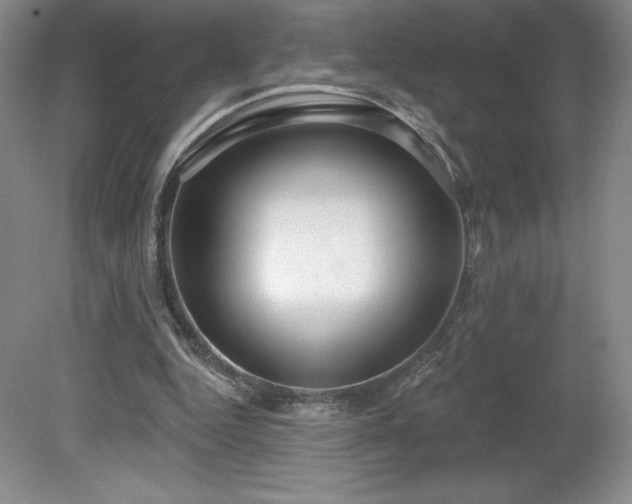 X0000081560344200701221032