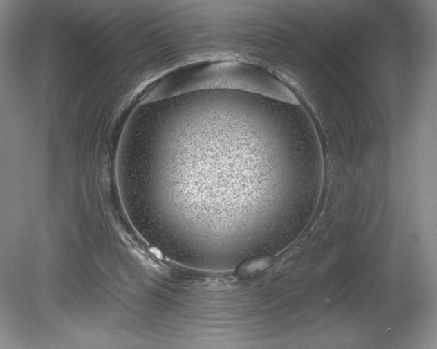 X0000081560345200701221033