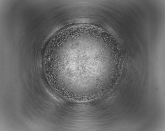 X0000081560347200701221033