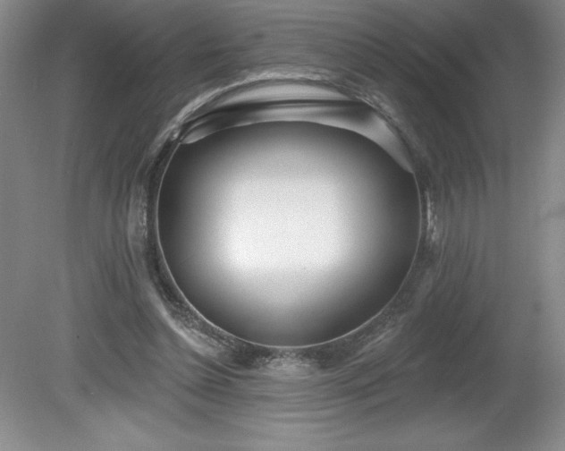 X0000081560348200701221033