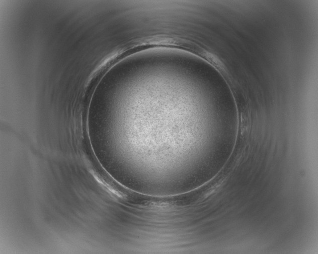 X0000081560349200701221033