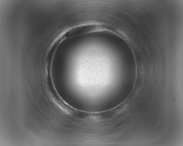 X0000081560350200701221033