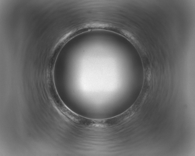 X0000081560352200701221033