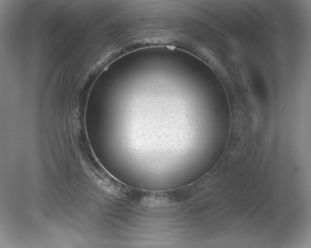 X0000081560354200701221033