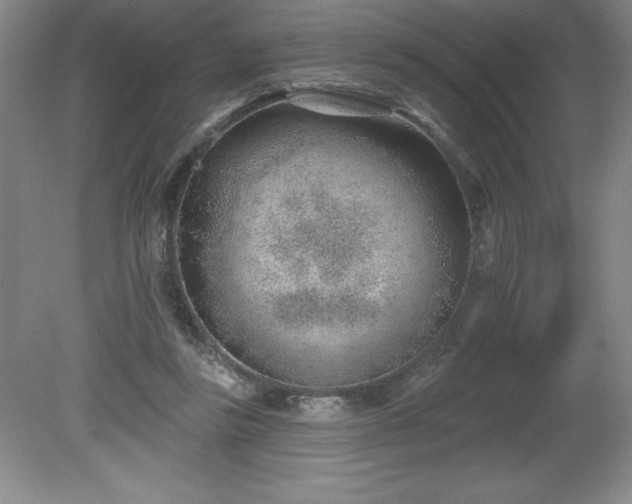 X0000081560355200701221033