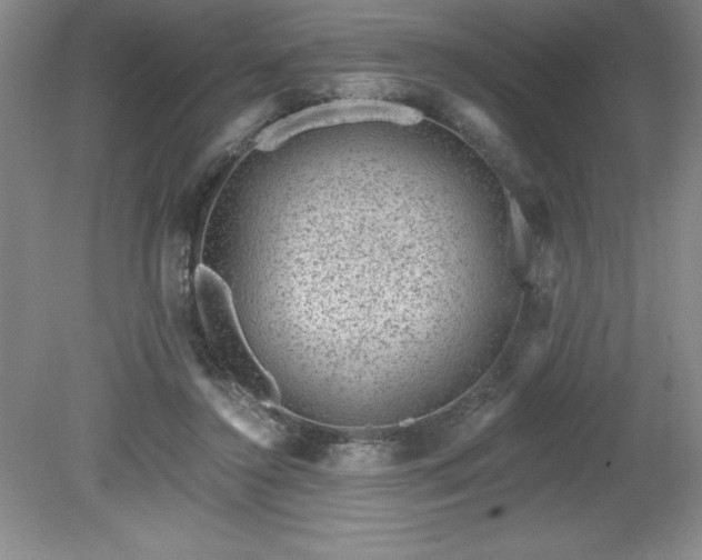 X0000081560356200701221033