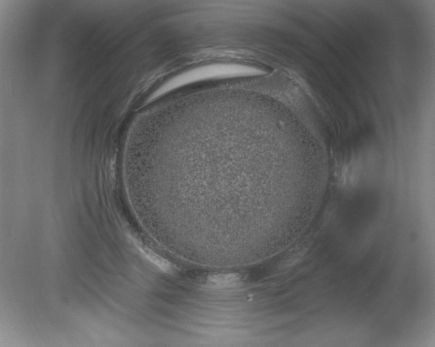 X0000081560357200701221033