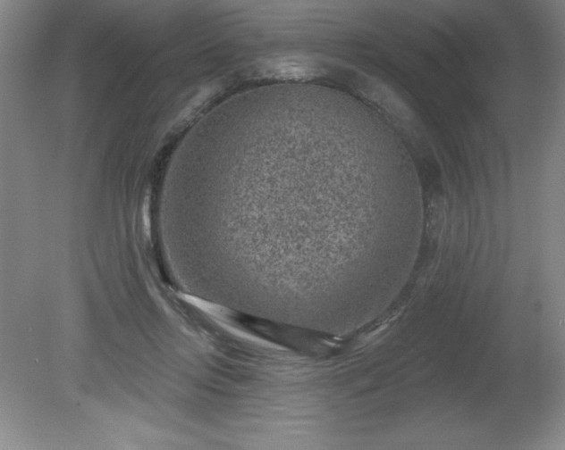 X0000081560358200701221033