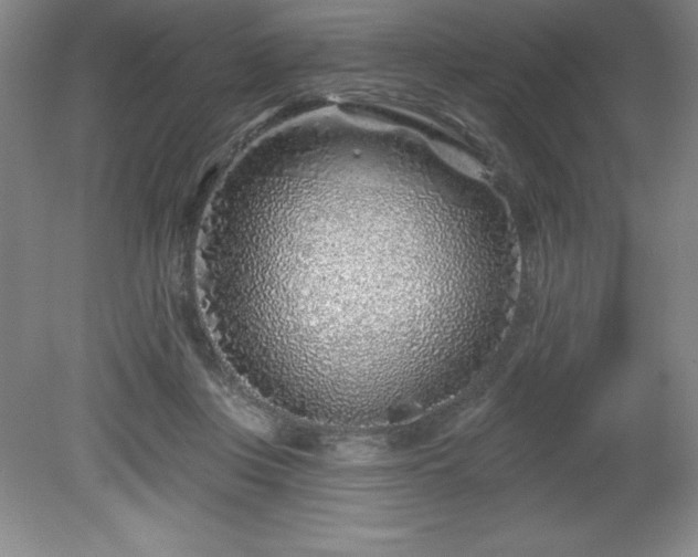 X0000081560359200701221033