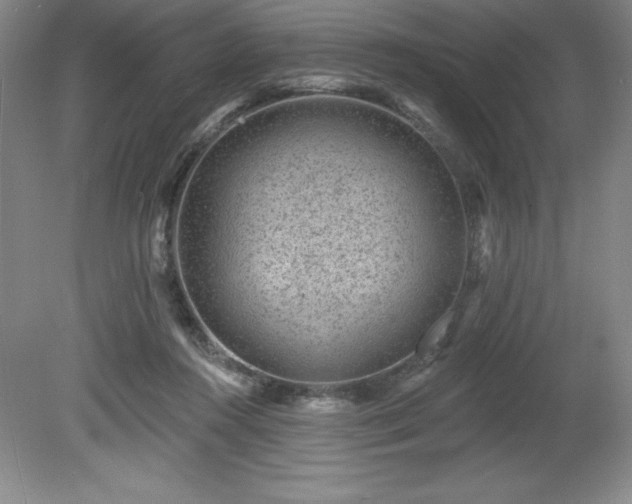 X0000081560360200701221033