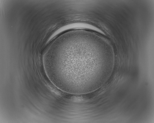 X0000081560361200701221033