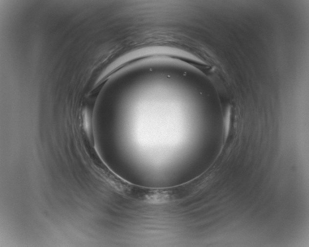 X0000081560362200701221033