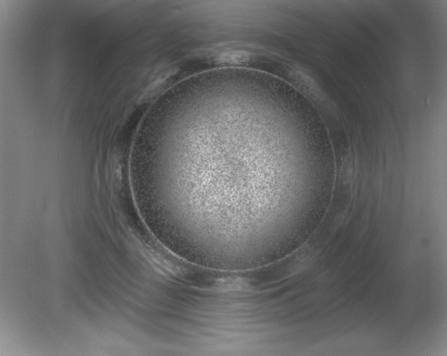 X0000081560363200701221033