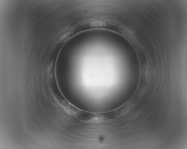 X0000081560364200701221033