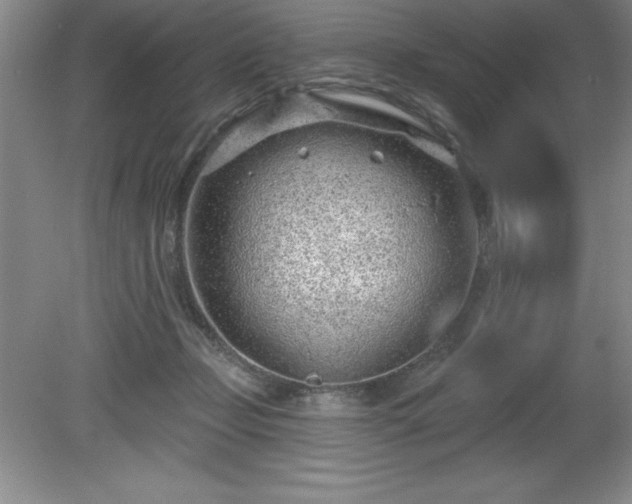 X0000081560365200701221033