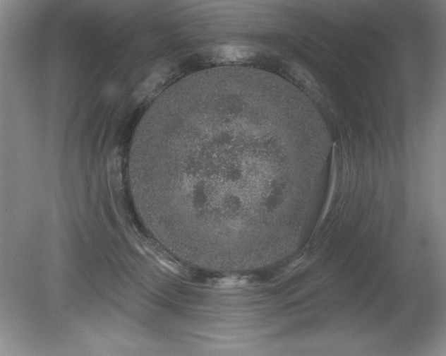 X0000081560366200701221033