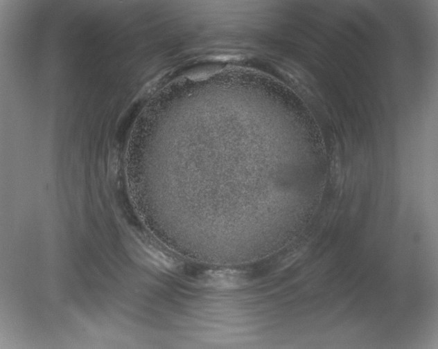 X0000081560367200701221033