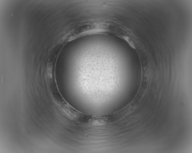 X0000081560368200701221033