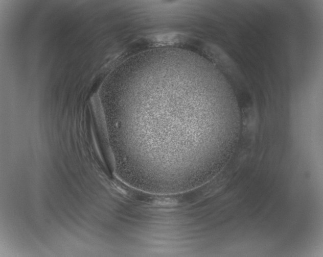 X0000081560369200701221033