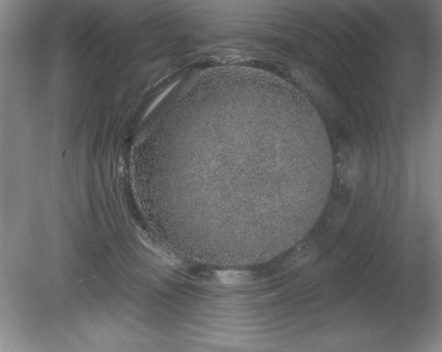 X0000081560371200701221033