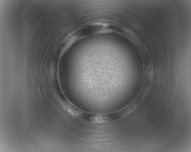 X0000081560372200701221033