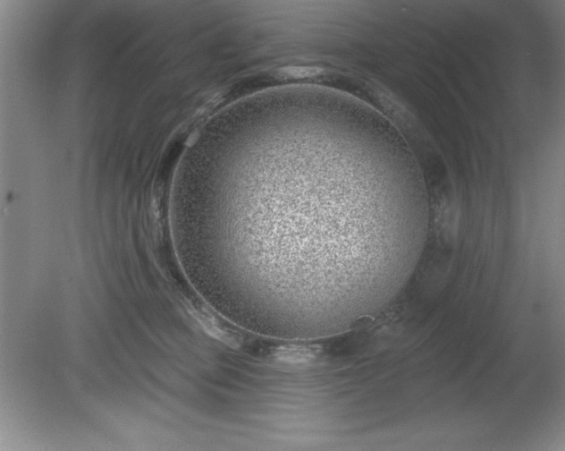 X0000081560373200701221033