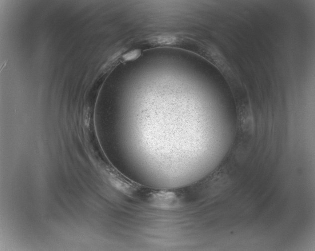 X0000081560374200701221033