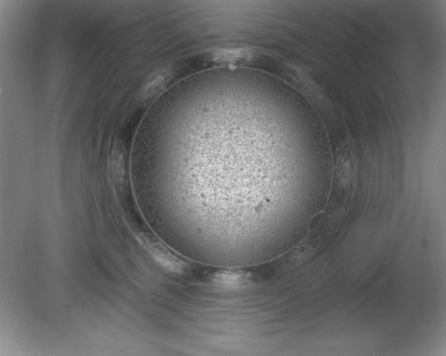 X0000081560375200701221033