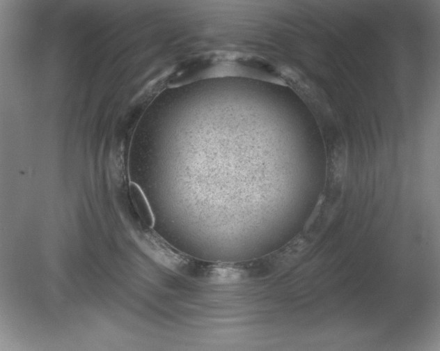 X0000081560376200701221033