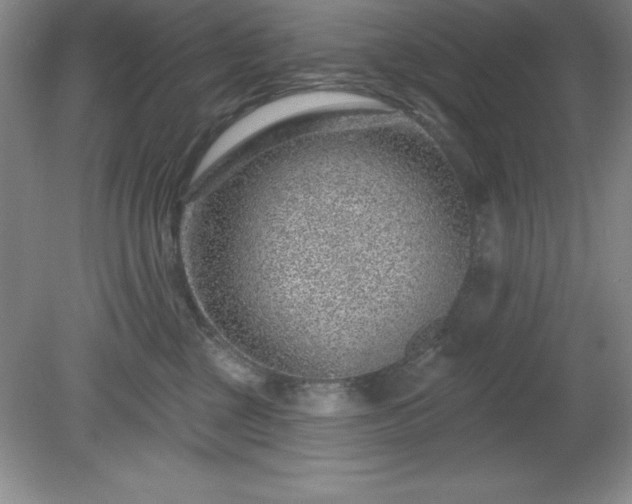 X0000081560377200701221033