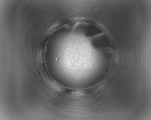 X0000081560378200701221033