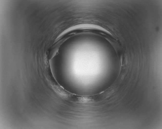 X0000081560380200701221033