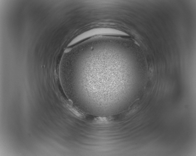 X0000081560381200701221033