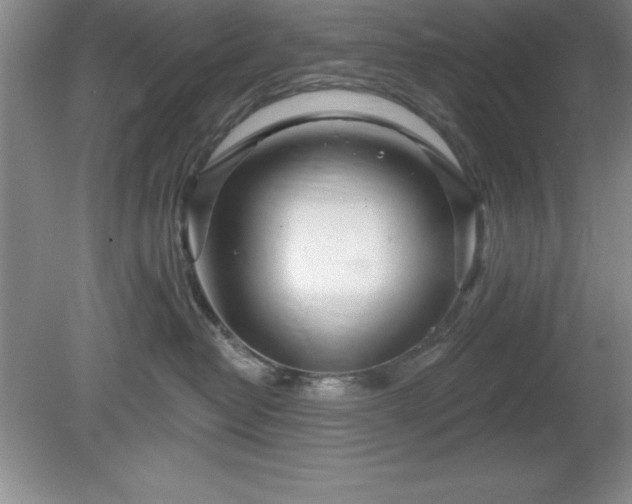 X0000081560382200701221033