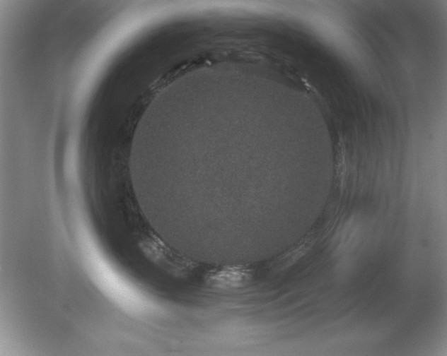 X0000081560383200701221033