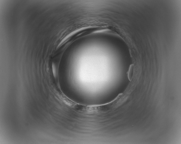 X0000081560384200701221033