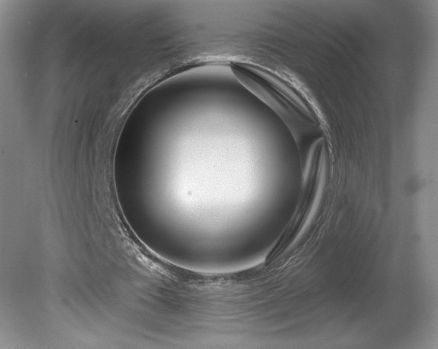 X0000081560385200701221032