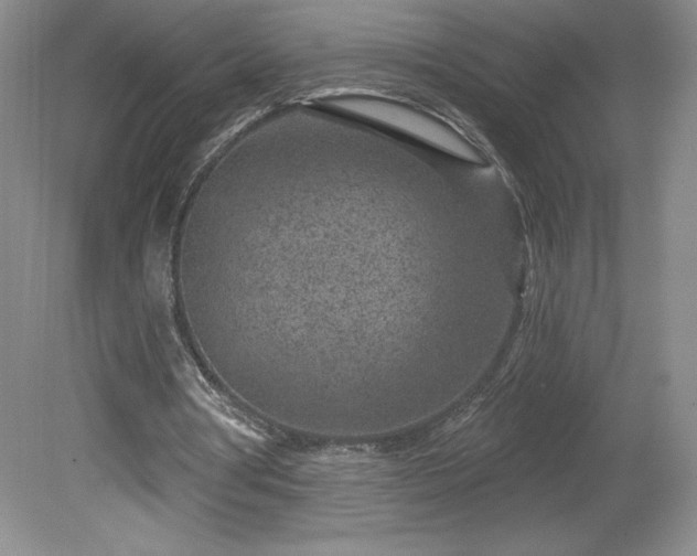 X0000081560386200701221032