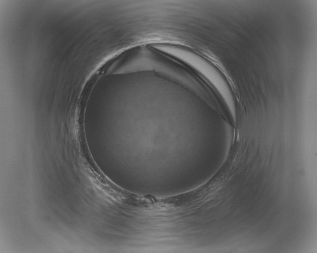 X0000081560387200701221032