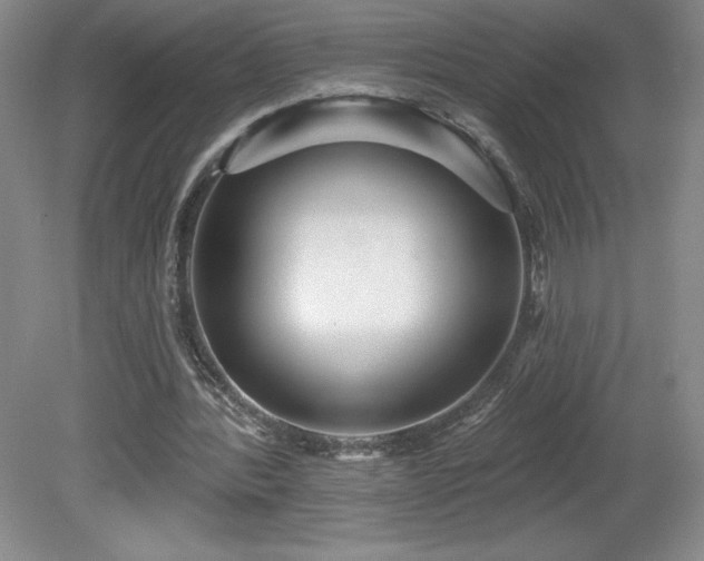 X0000081560388200701221032