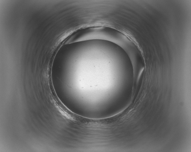 X0000081560389200701221032