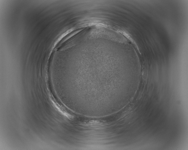 X0000081560390200701221032