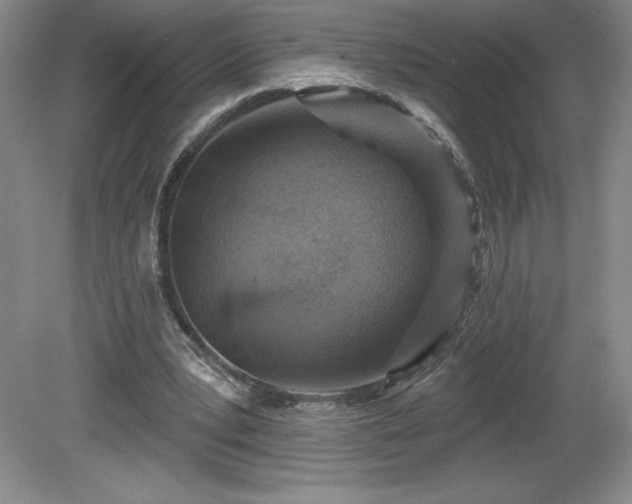 X0000081560391200701221032