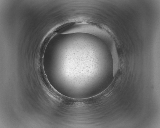 X0000081560392200701221032