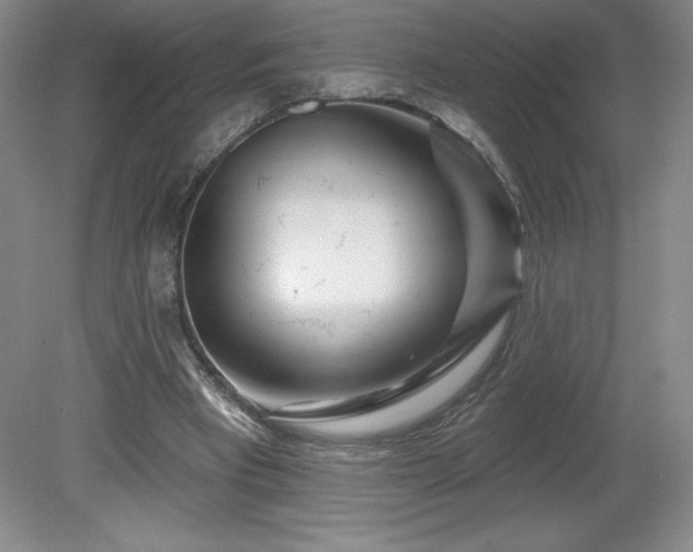 X0000081560393200701221032