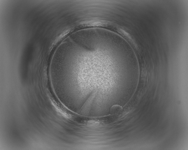 X0000081560394200701221032