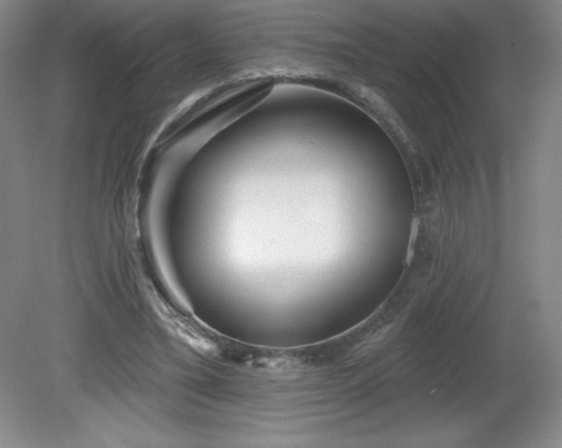 X0000081560395200701221032