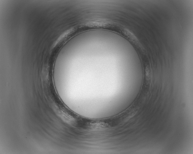 X0000081560396200701221032