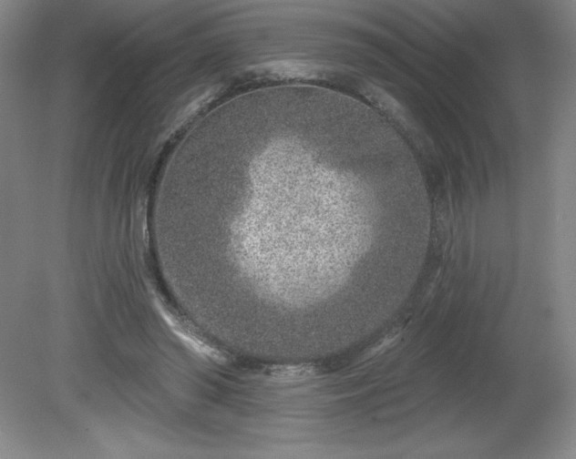 X0000081560398200701221032